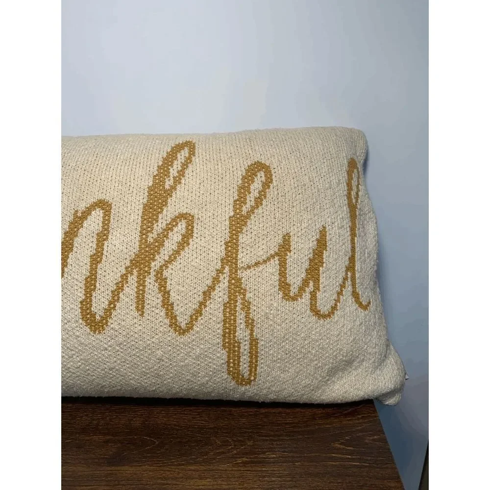 Andover Mills Home Textiles Gauvin Be Thankful Cotton Throw Pillow Tan